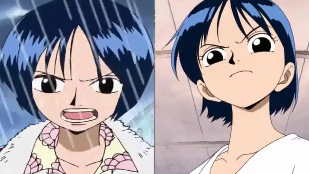 One Piece: Tashigi é um clone de Kuina? Revelamos a verdade por trás da teoria! Crédito: Reprodução.