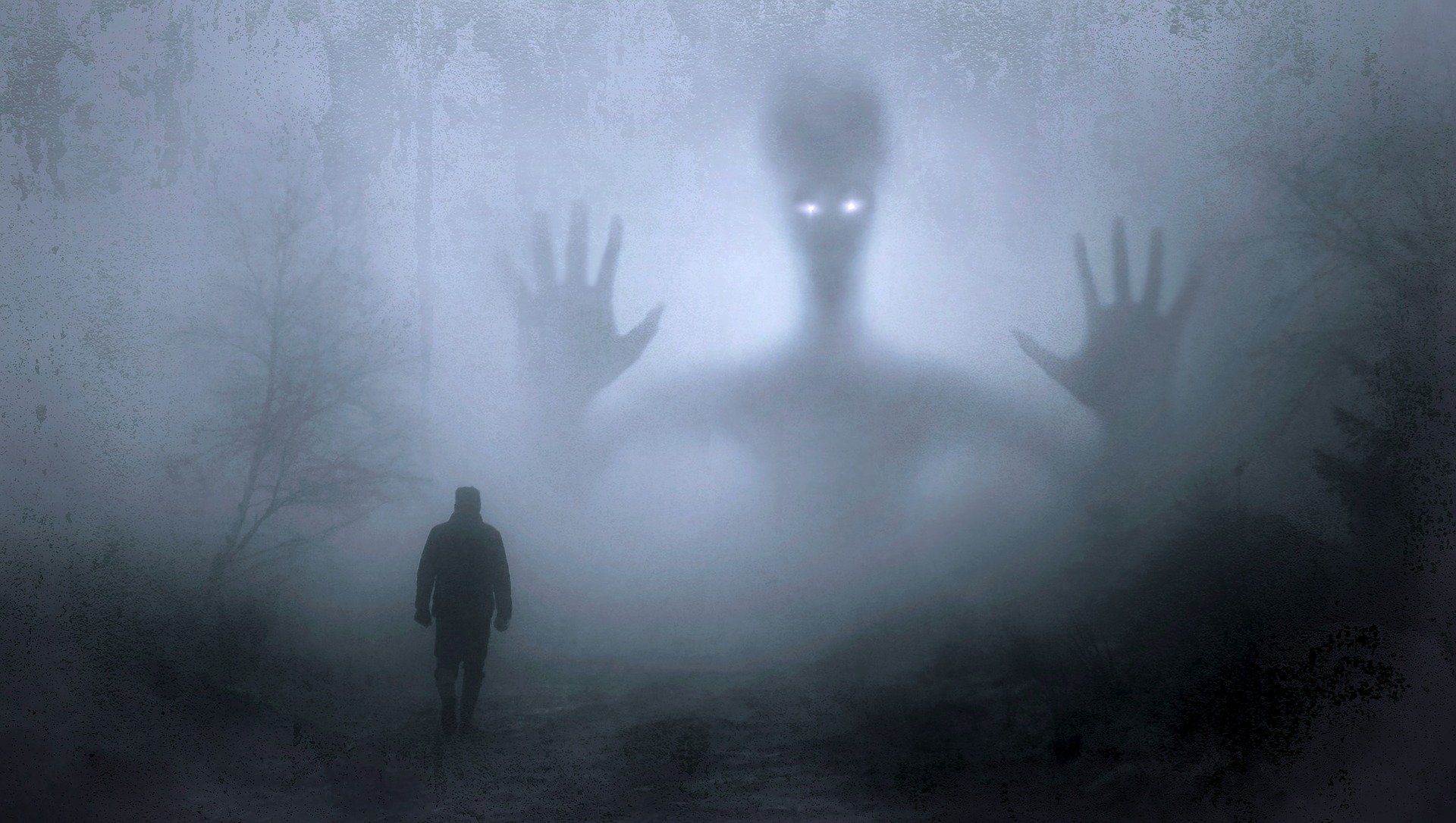 Terror