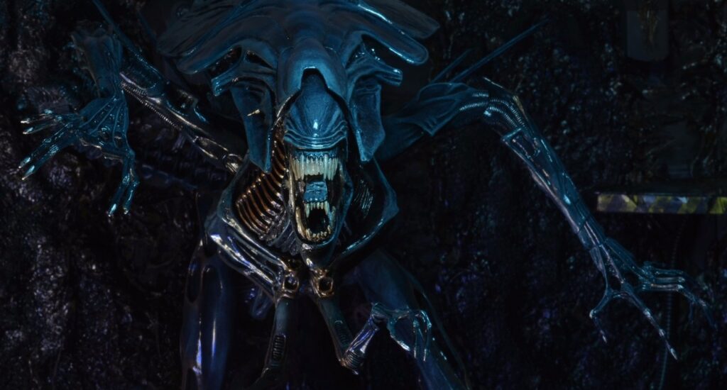 Xenomorfo