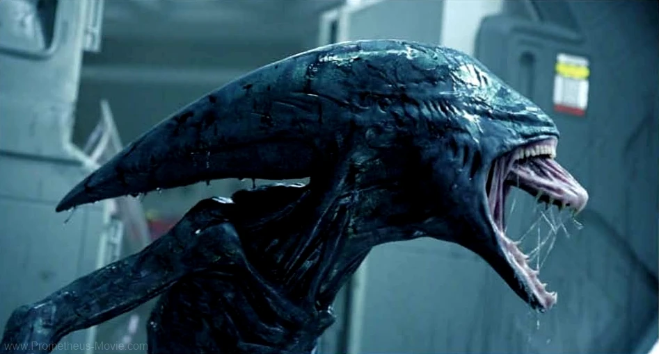 Xenomorfo